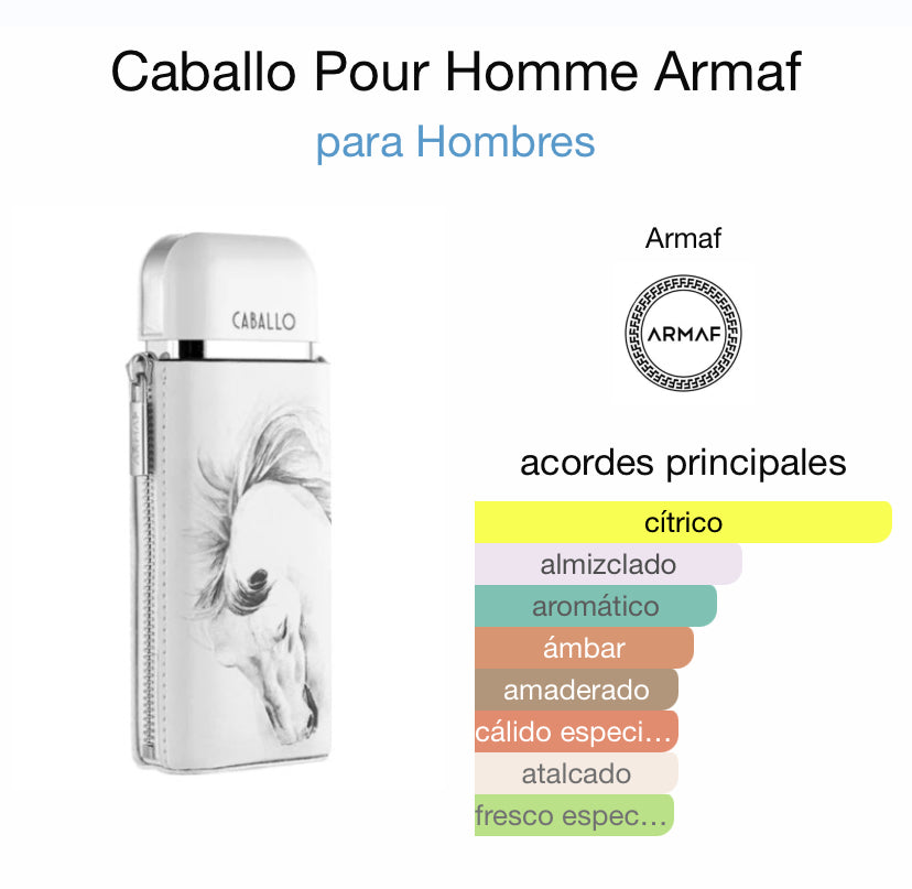 Armaf Caballo 100ml edp